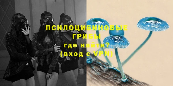 спиды Аркадак