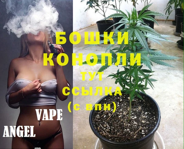 спиды Аркадак