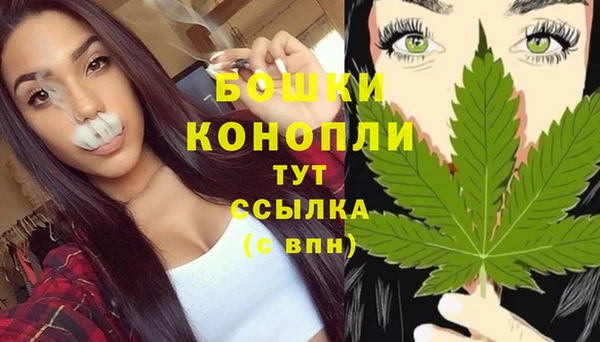 дурь Арсеньев