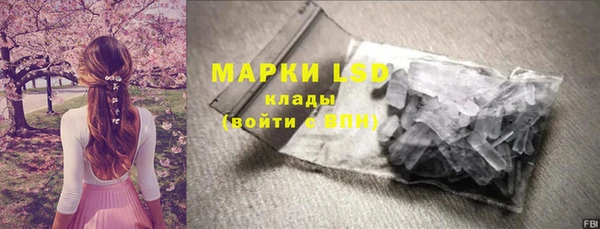 спиды Аркадак