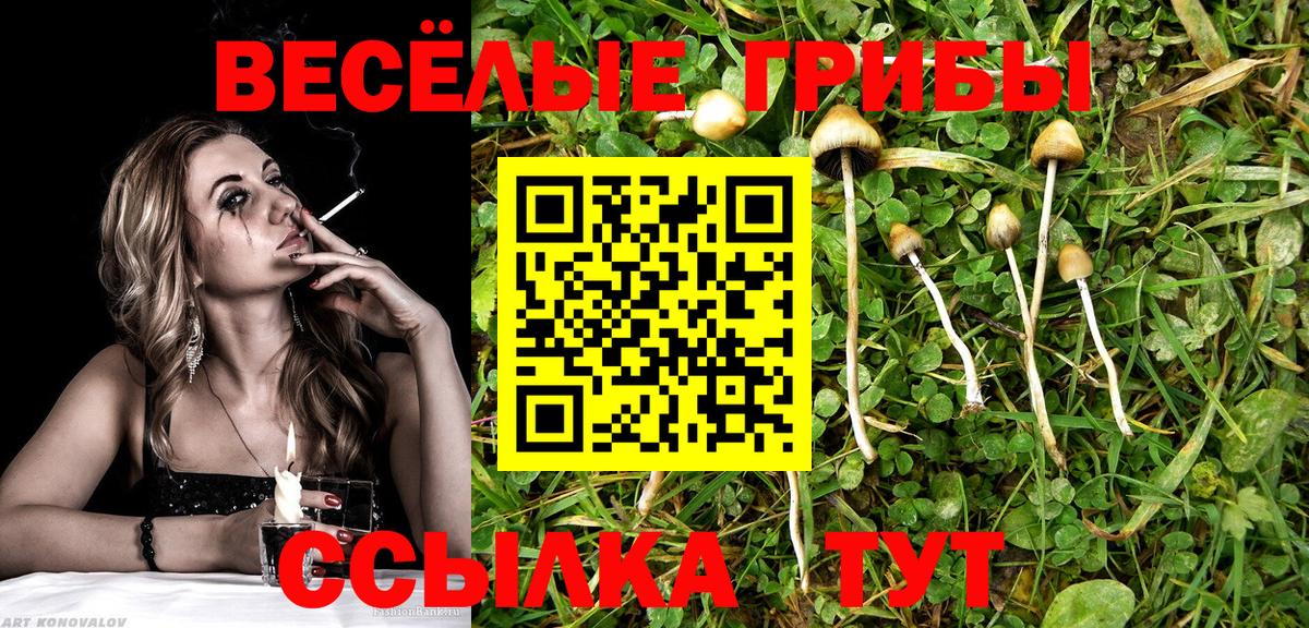 Усинск  Псилоцибиновые грибы GOLDEN TEACHER  Вход с VPN 